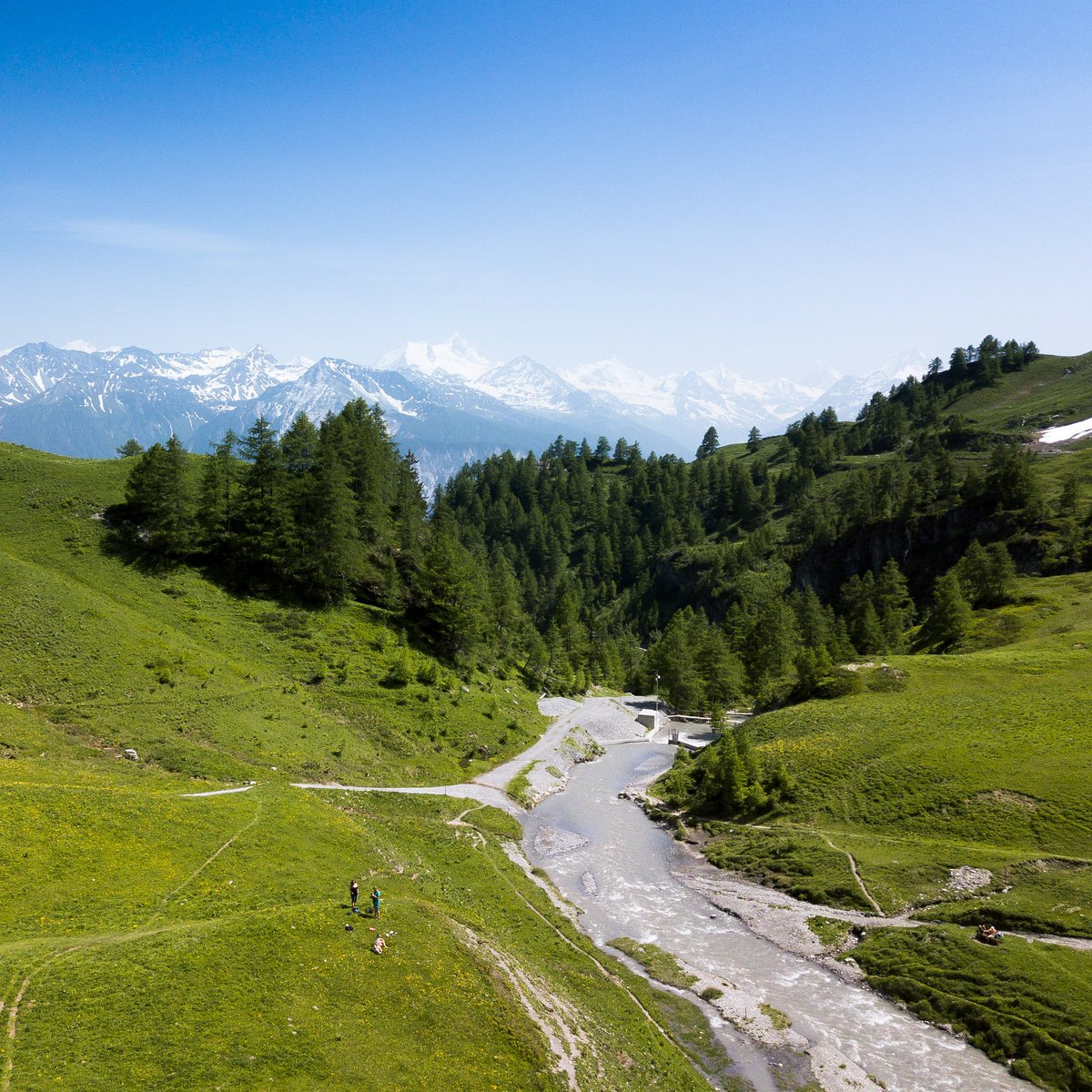 Crans Montana

Randonnée le long du bisse du Tsittoret à #cransmontana en #suisse.

La montagne, ça vous gagne !