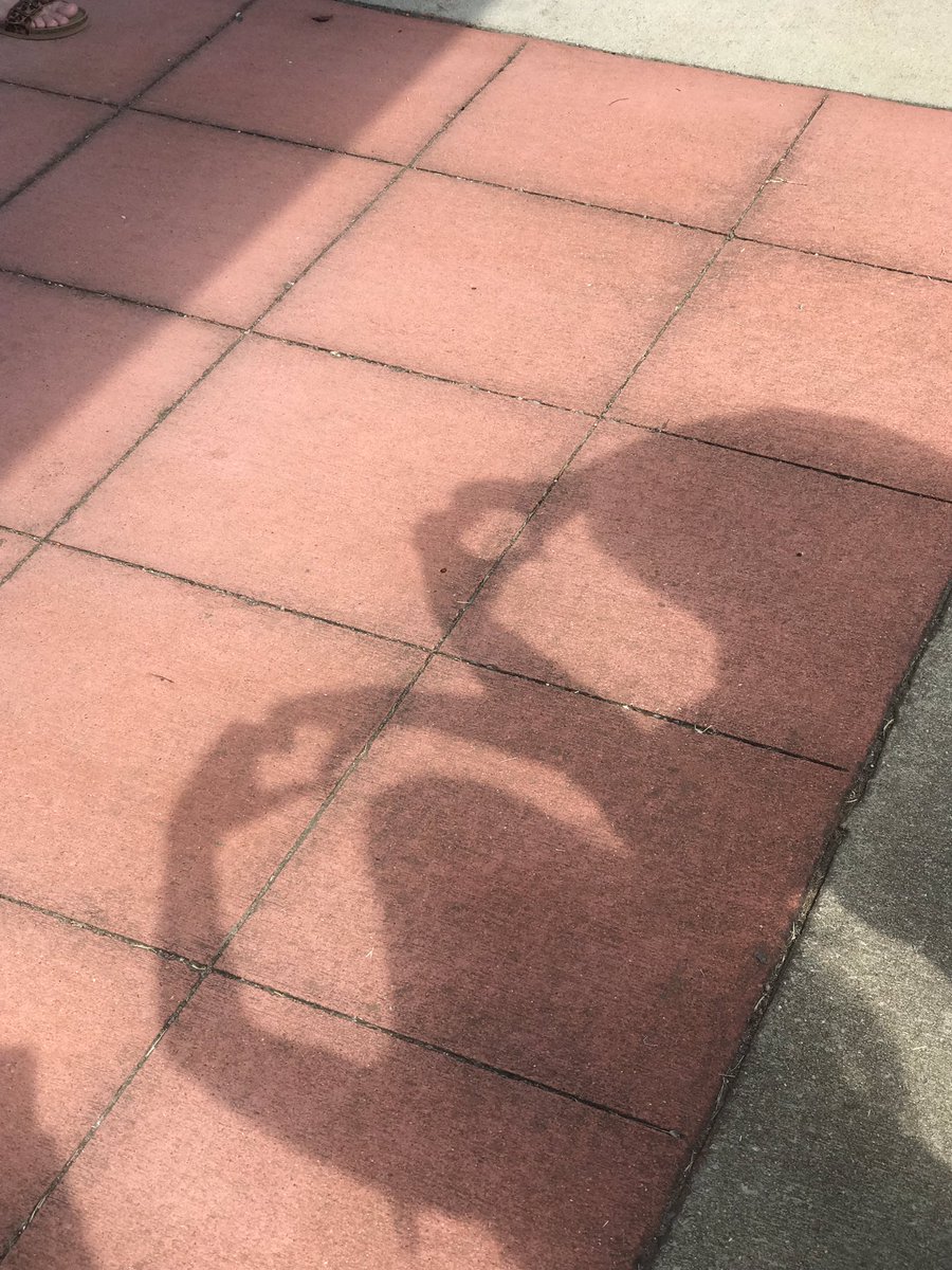 KellyGrande18's tweet photo. 1st grade teachers ❤️💕 AMSTI Science Training and learning about shadows!!
#AMSTIum1stgradesciencerocks #AMSTIworks #summerlearning @AlabamaDeptofEd @AMSTI_UM @amstiweb @AMSTIUSA https://t.co/QCdcSK590p
