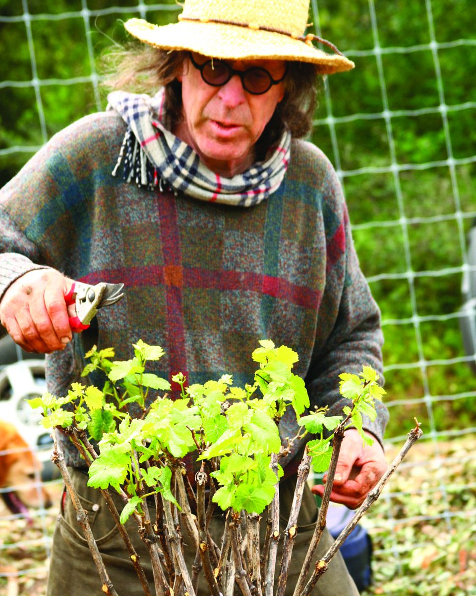 BonnyDoonVineyd's tweet photo. #Throwback to planting our Pinot block in 2010, the first vines planted at Popelouchum. We can't believe how far we've come since then. Of course, by choosing to plant an entire vineyard from seed using Biodynamic practices, there will always be even further to go. #StayDooned 👽 https://t.co/INdDMfhB79