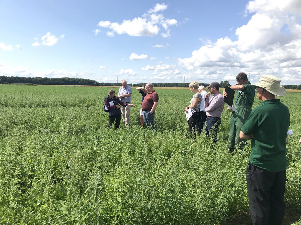 AHDB_Hort's tweet photo. Great turn out and great weather ☀️ at #SCEPTREplus trial demonstration for weed control in carrots. Some very strong #Herbicide candidates showing great potential as a  #Linuron replacement @ADAS_Hortic #SCEPTREplus #Herbicide #Carrots https://t.co/6mF0LPRkTJ