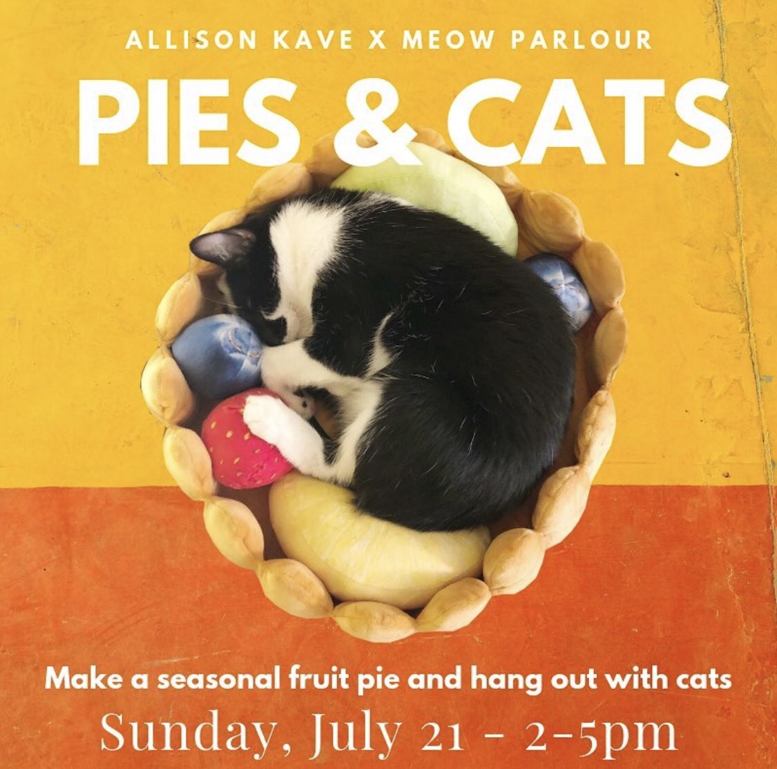 Make more pies with @firstprizepies, this time with cats!! <a href="/MeowParlour/">Meow Parlour</a>  #cat #cats #pie #pies #piesandcats What pie would you make if inspired by cats? #chocolatemousse maybe?