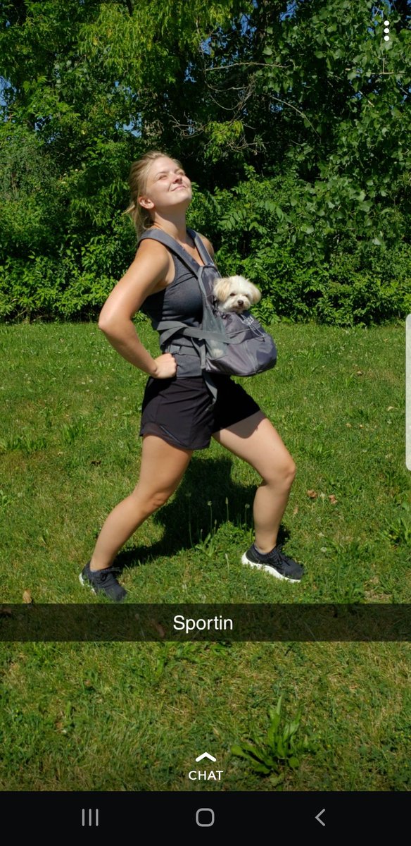 CateMegan's tweet photo. So, Adam bought our old Boi, Riley, a carrier so he can go on walks with us. I think we've gone too far. https://t.co/pQTVWW7drq