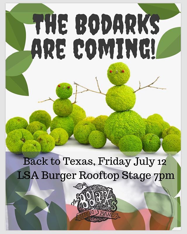 TheBodarks's tweet photo. #lsaburger #texasmusic #livemusicdallas #dentontx #folkmusic #dallaslivemusic #horseapple #texasmusicscene #dallasmusicscene #downtownhoedown #boisdarc #fiddlemusic #washboardmusic #banjomusic #hootenanny #funthingstodoindallas https://t.co/j6NilYk70F