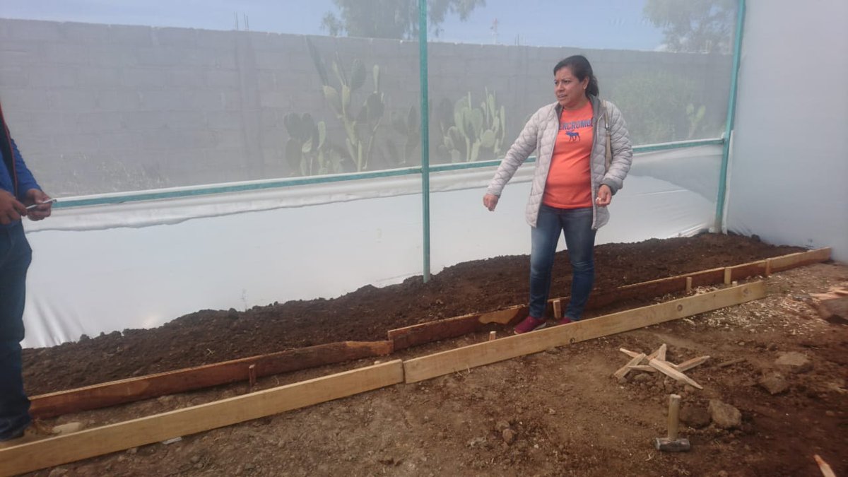 AscensoC's tweet photo. Continuamos con las capacitaciones para la construcción de camas de siembra en la  #ColoniaJavierRojoGómez , #Tulancingo, del programa a #HidalgoTeNutre.

@Sedagro 
@omarfayad 
@Car_Muniz https://t.co/vvmB6phVhi