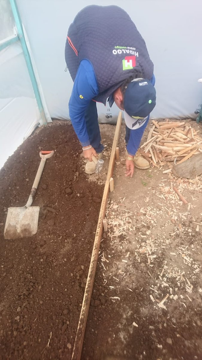 AscensoC's tweet photo. Continuamos con las capacitaciones para la construcción de camas de siembra en la  #ColoniaJavierRojoGómez , #Tulancingo, del programa a #HidalgoTeNutre.

@Sedagro 
@omarfayad 
@Car_Muniz https://t.co/vvmB6phVhi
