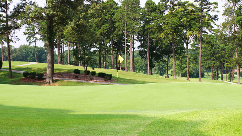 MyGogi's tweet photo. $35,000 1st place!! Register for $700 in July for the inaugural CHARLOTTE OPEN place Aug 13th-15th presented by #swingthought @ Ballantyne Resort in Charlotte, NC - https://t.co/kb8SSpm1YB #STTOUR #CLTOPEN19 #swingthought #golfjourney #golf https://t.co/Vg9EAow2B4