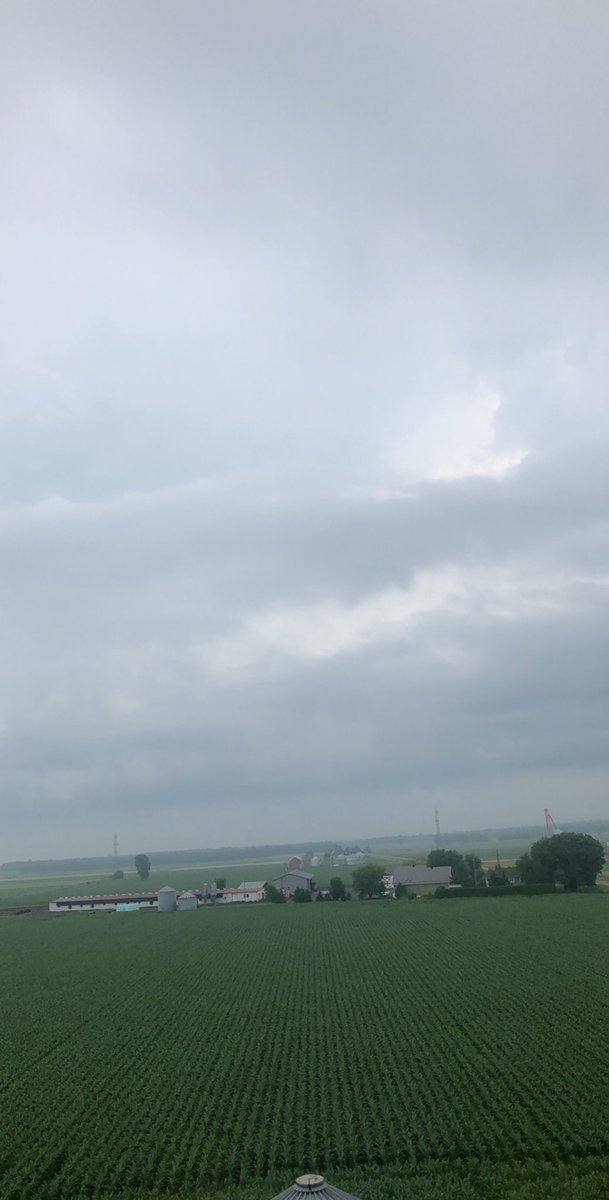 ChickenLittleF2's tweet photo. rain ☔️ makes corn 🌽 corn makes whiskey 🥃 🍻🍻 https://t.co/Z5XRbzB2Ed