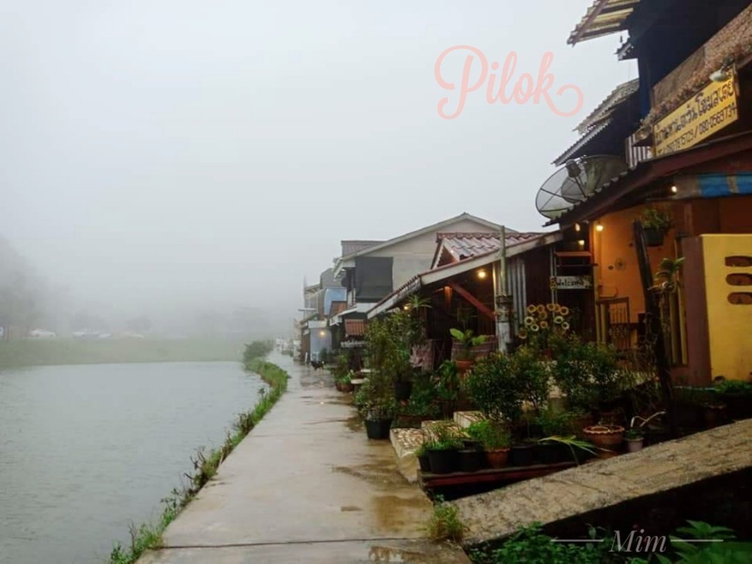 ladiizmim's tweet photo. หน้าฝนที่แล้ว🌧️🌿
คิดถึงหมอก คิดถึงเขา คิดถึงเส้นทาง
สวยจริงไปแล้วไม่อยากกลับ
ฉัน❤️ #ปิล๊อก #Pilok https://t.co/v0fUd5Jw0z
