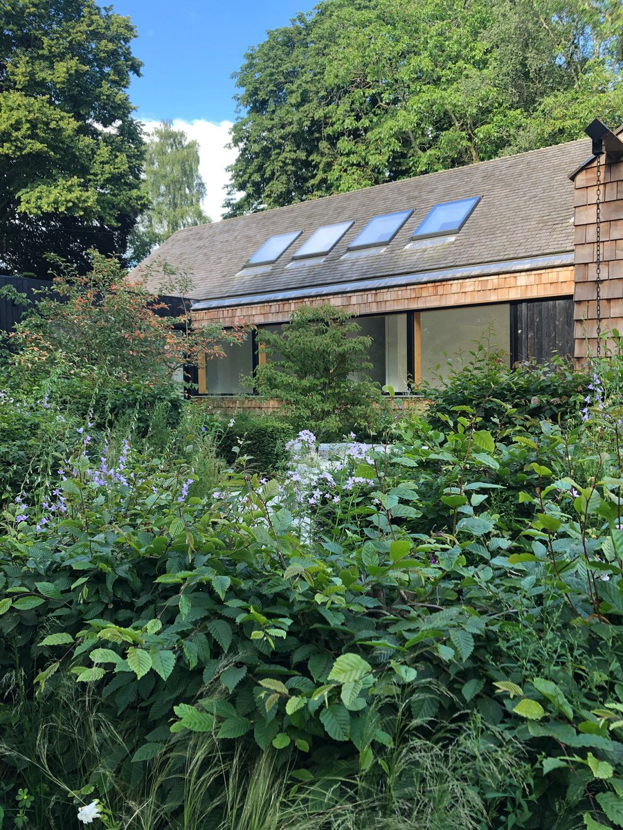 Williams Griffiths tweet media