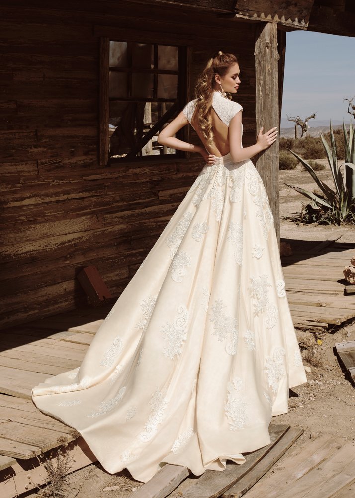 NOVIAS Select tweet media