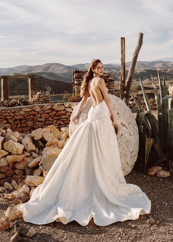 NOVIAS Select tweet media