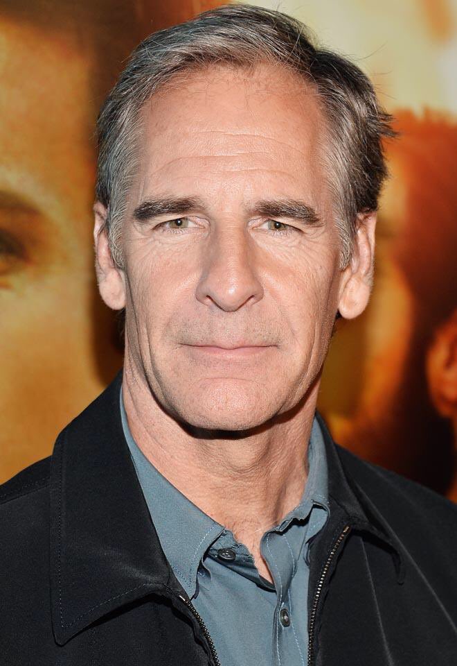 Scott Bakula as Jeff Epstein