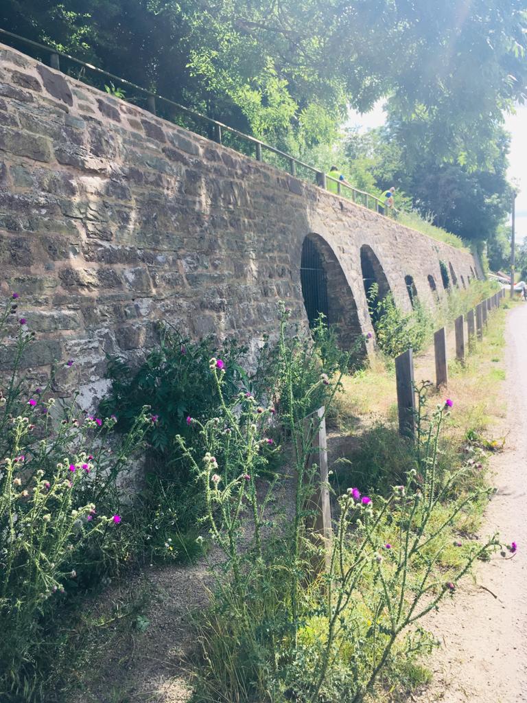 CRTWalesandSW's tweet photo. Our lovely #volunteer work party cleared off the Lime Kilns at Brecon on the Monmouthshire & Brecon Canal earlier this week. Here's a before and after! #LifesBetterByWater #Volunteering #MonBrec https://t.co/zTdDkq5kZn