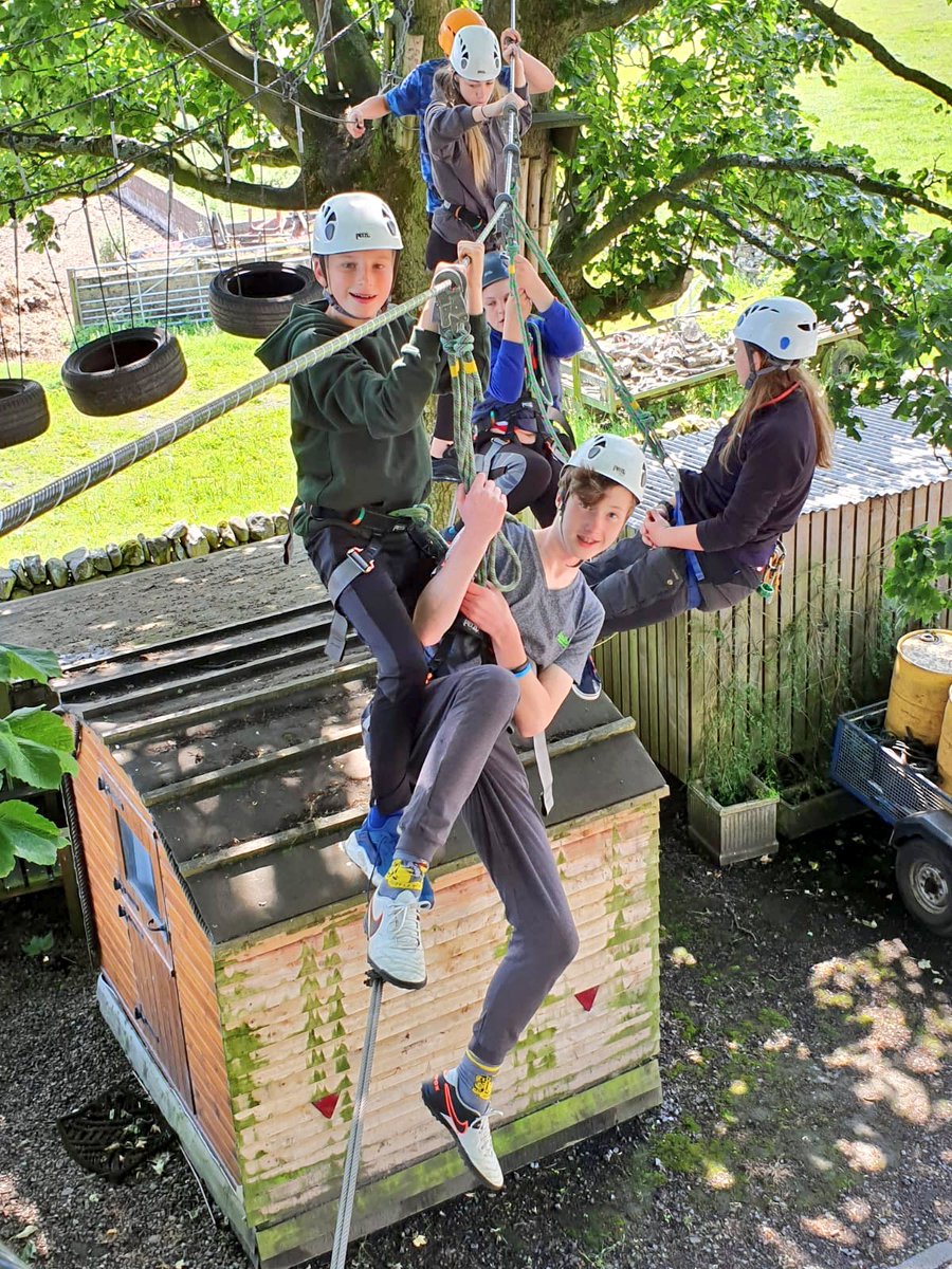 Chilling in the trees #summerofrisk