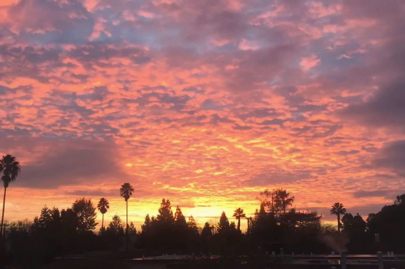 dynamitetoken's tweet photo. Dynamite is proud of our diverse, international 🗺️ community‼️
🌄this is a California sunrise🏖️
The day begins for some DYT members,🌅 while for others, it comes to an end🌆
🤗join discord &follow $DYT socials💛🧡
https://t.co/7CREtyzH7U
#dynamitetoken #dyt #dynamite #morning https://t.co/CbQJqsWgZg
