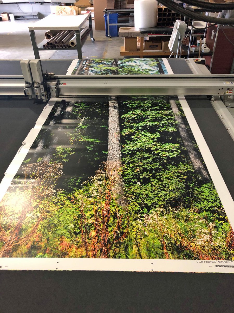 exploringgraphx's tweet photo. The view in our shop today: we're printing rolls and rolls of custom wallpaper! Our talented team produces the highest quality work for projects of all sizes.

#grandformatprinting #wallpaper #customwallpaper #printing https://t.co/6u6HuZpcNv