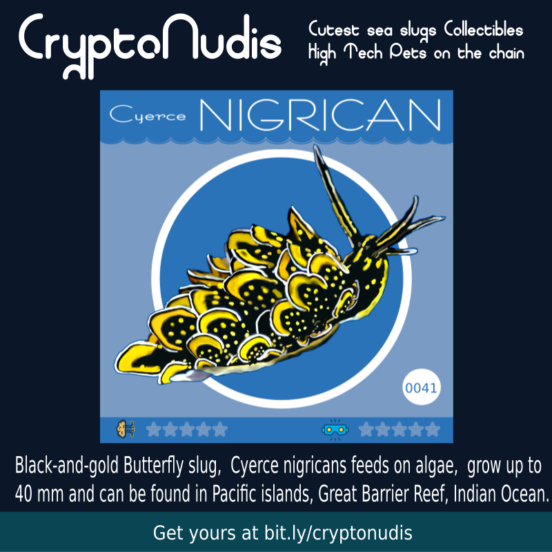 Black-and-gold Butterfly Slug,  Cyerce nigricans feeds on algae, is able to grow up to 40 mm and can be found in Pacific islands, Great Barrier Reef, Indian Ocean.

check it out at : opensea.io/assets/0x48718…