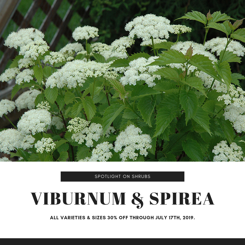 The Barn Nursery tweet media