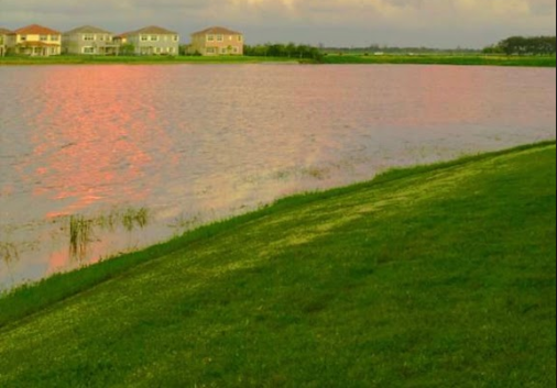 EvinWebDevATC1's tweet image. Twitter student assignment 13
webdevelopmentatc.com/evindejesus/In…
One of the best Photoshop projects i done so far was a photo of my friends backyard