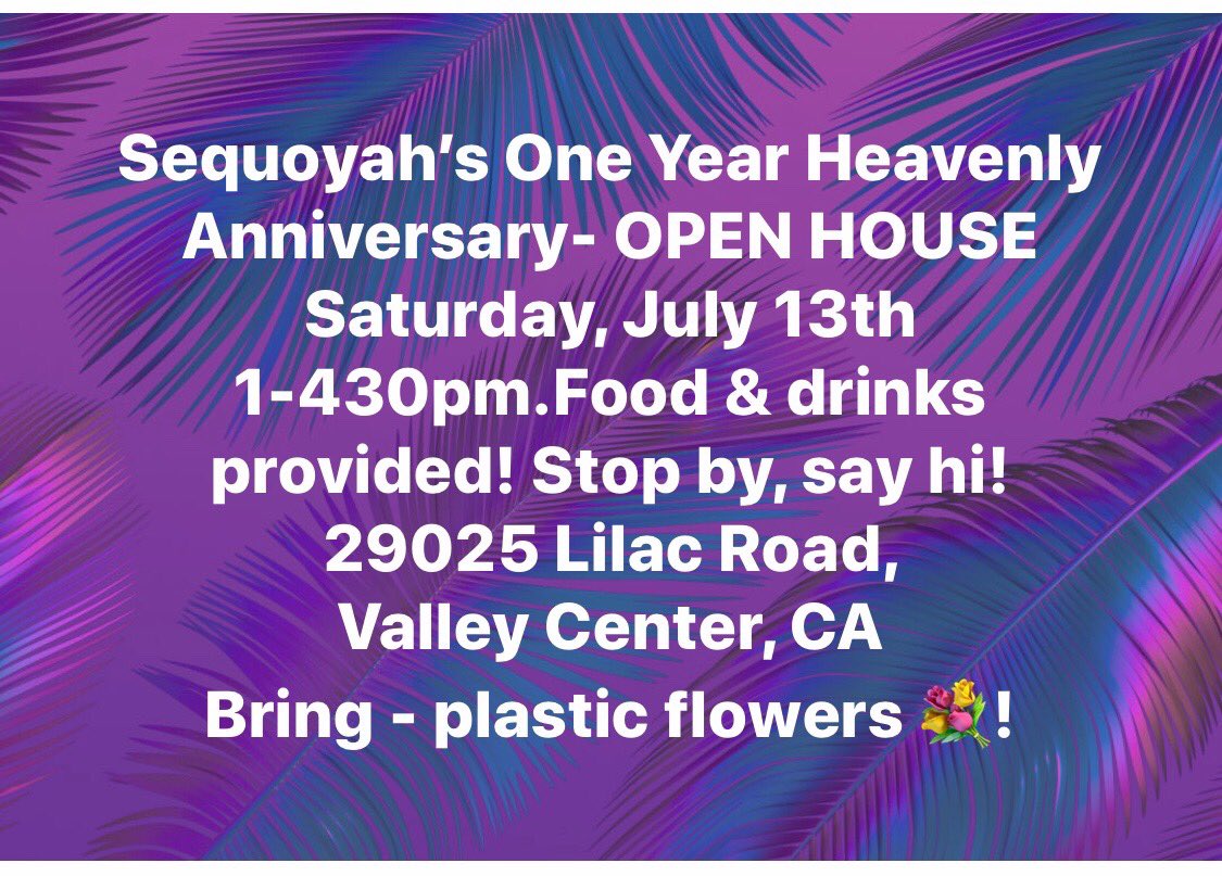 Calvin One Deer (@calvinonedeer) on Twitter photo 