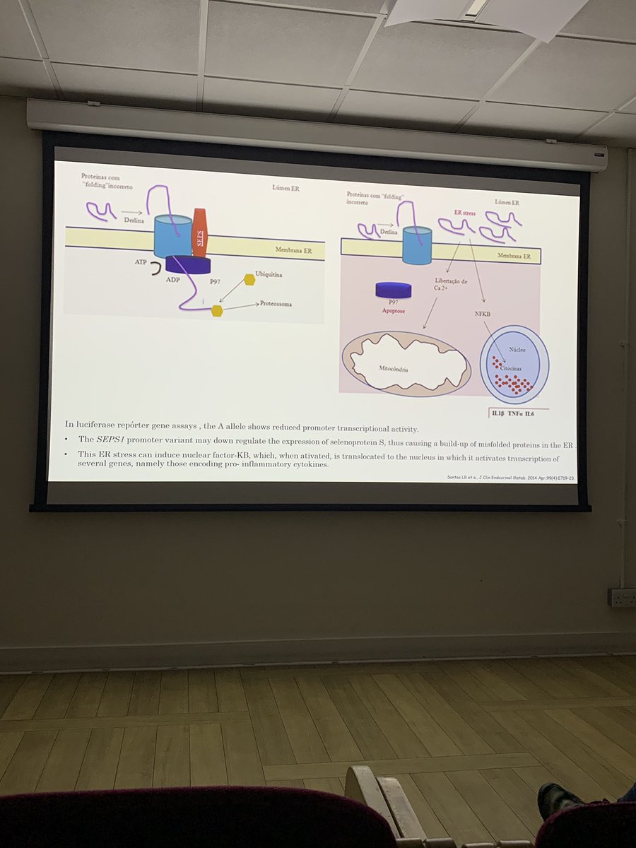 ebook microgrid