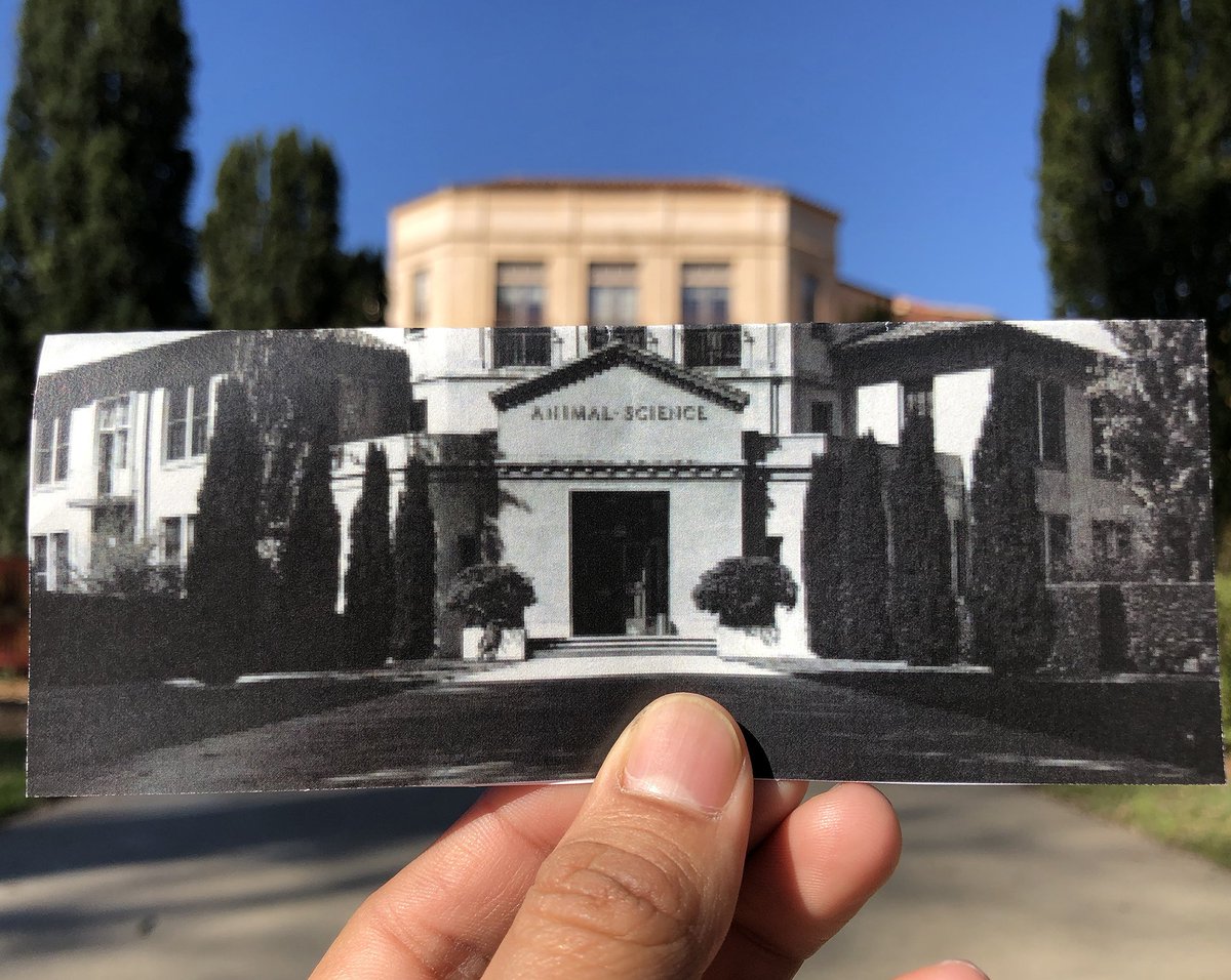 Notice anything different between this picture from 1952 and the building today? That’s right, Hart used to be the Animal Science building! #tbt @ucdavislibrary bit.ly/2rB0t2H