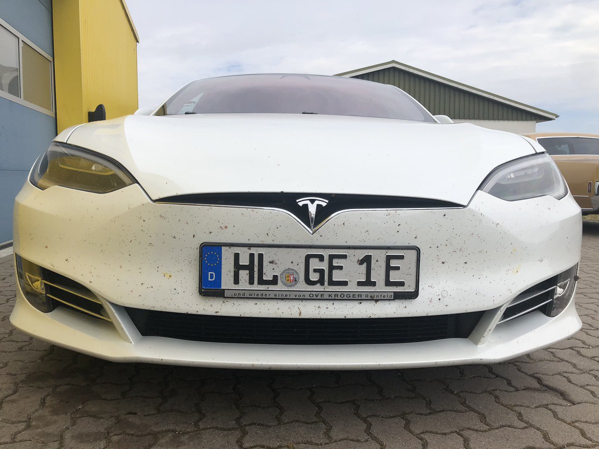 KroegerOve's tweet photo. 3000 Kilometer durch Europa. Dies ist die Insekten Ausbeute 🤔 https://t.co/QoMDi4hGV4
