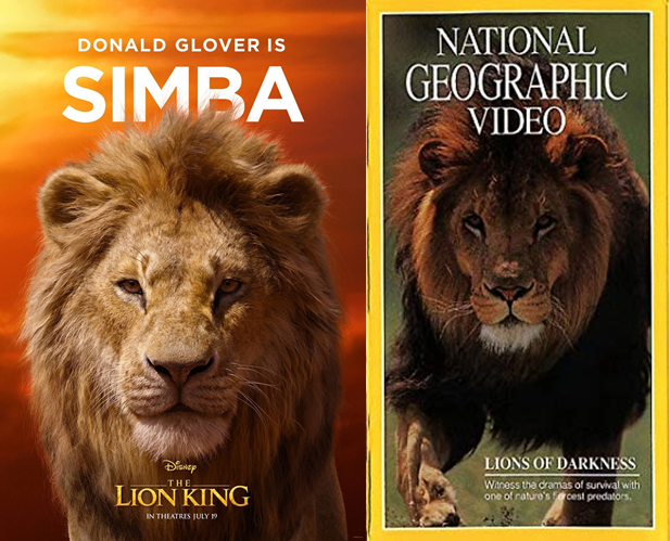 MarkZAutor's tweet photo. Poster del Live Action de #TheLionKing2019 vs fotografía de León de portada de National Geographic. No entiendo bien cual es el punto de esta versión de #Disney, En los trailers, estos animales "realistas" no son nada expresivos... espero que la peli no parezca un documental... https://t.co/XvTEUNNsVd