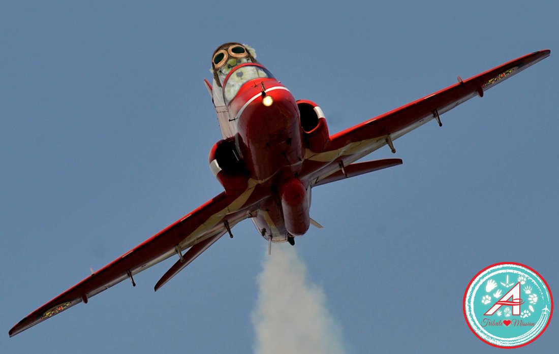 Uniform Alpha 14 pulling into formation ready for #TheAviators missing man flight!