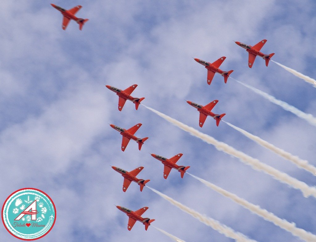 Uniform Alpha 14 pulling ahead as our furends have flown on ahead OTRB, always remembered but now apart #TheAviators