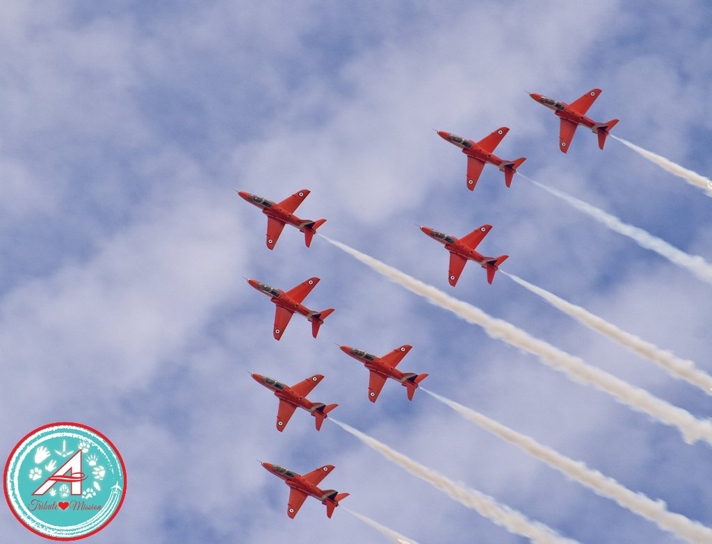 Uniform Alpha 14 to #TheAviators - the place our furends leave in our hearts is filled with love... apart, they are ALWAYS with us!