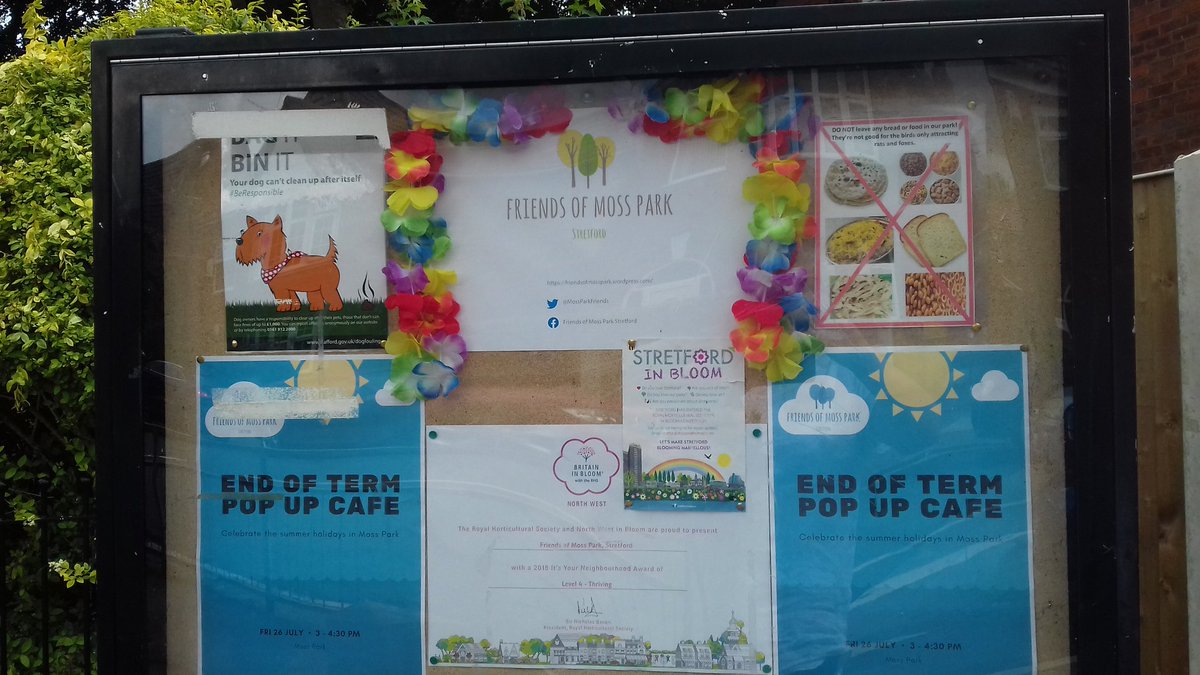 Lovely new noticeboard display advertising our end of term event😍

2 donated plants from underneath it currently missing in action - we want our plants back! 😕

Dinosaur/rat food now disposed of, not in our park thanks- have enough vermin about don't want to attract more 😂😂😂