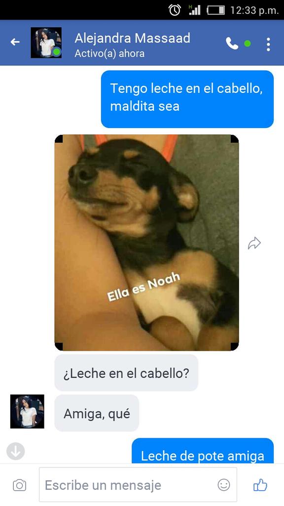 nanijajaja's tweet photo. JJAJJAJAJAJAJAJAJAJAJAJ. https://t.co/SA4yaWkqDe