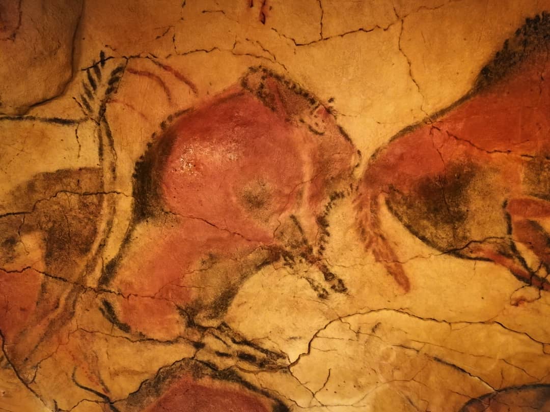 jlmgarvayo's tweet photo. Me he quedado sin palabras...
#arterupestre #altamira #paleoliticovivo #arqueología #breathtaking #arteparietal https://t.co/5Tsg7xhVOb