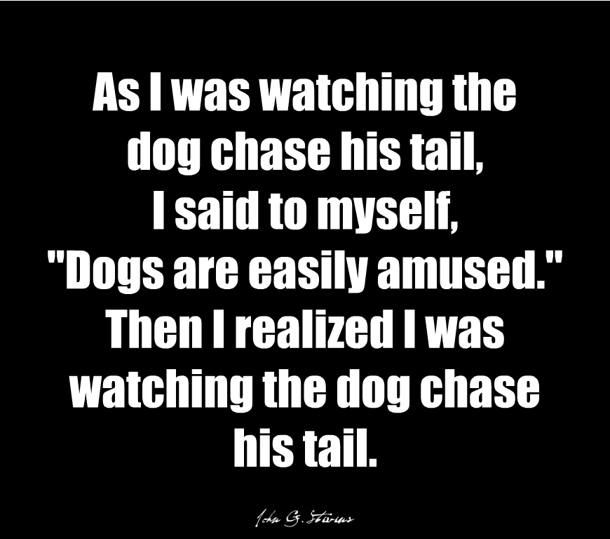 Lol!  

#JohnGStevens #JGS #Humor #Funny #Dog #DogChasingTail #Tail