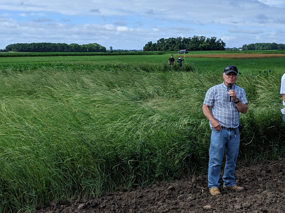 UMNorganic's tweet photo. What a great day at the South West Regional Outreach Center Organic Field Day in Lamberton. It was awesome to see such a variety of organic research happening #albertleaseed #pulseusa #barley #kernza #biodegradablemulch #wintervetch #hightunnel https://t.co/tLH84dK1mB