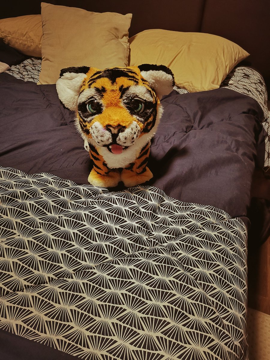 LiLiN4L's tweet photo. Como cuando le dices a tu marido que necesitas un tigre en tu cama 😏😏😏 y llega con esto... 🤣 https://t.co/k2FfphatWE