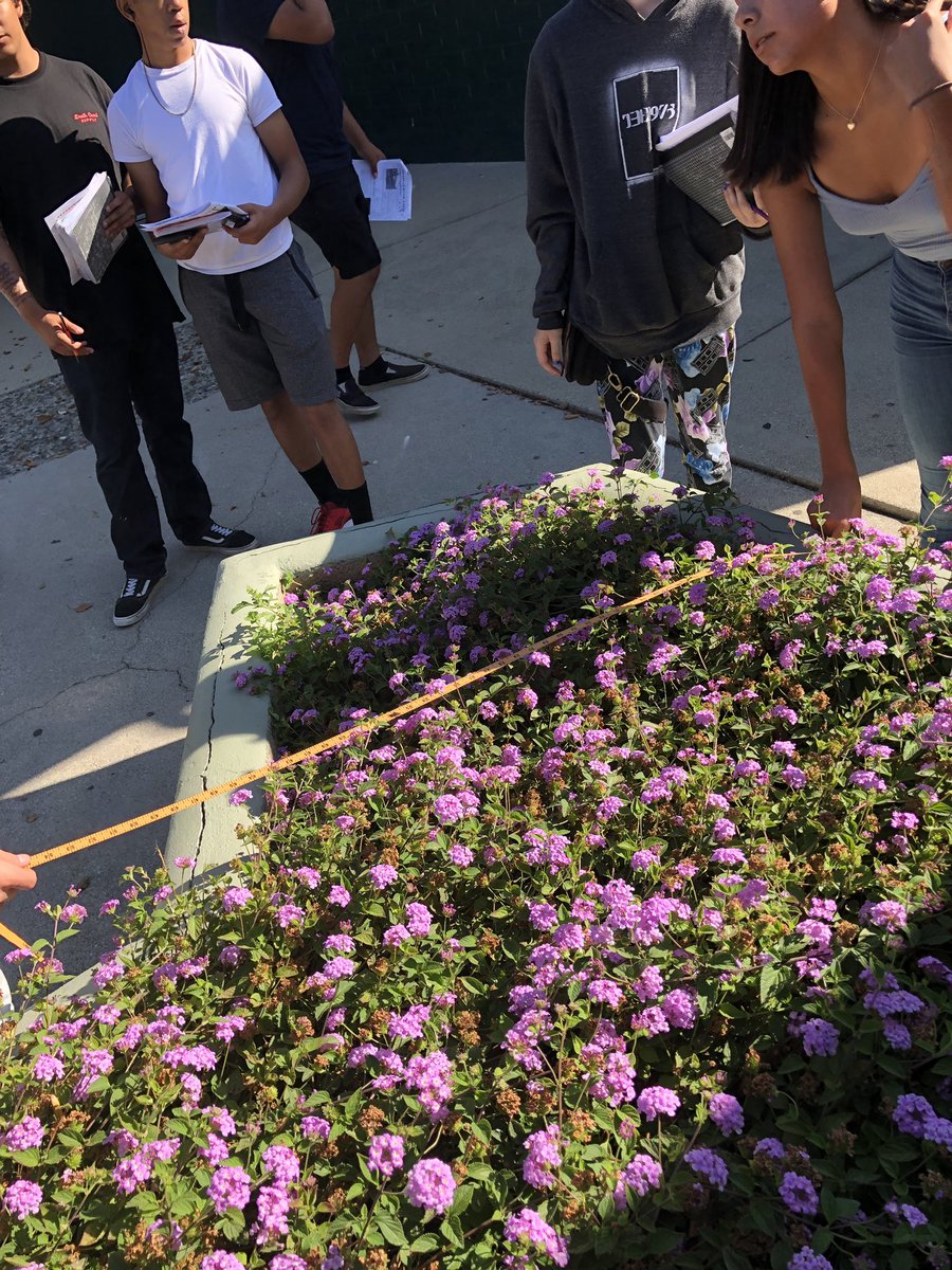 VbergMath's tweet image. It’s #MathTrail day!  My favorite day of summer school is when Ss get outside and their world is transformed into mathematics.

patriciavandenberg.wordpress.com/2017/07/13/mat…

#Bonitians #MTBoS #iTeachMath