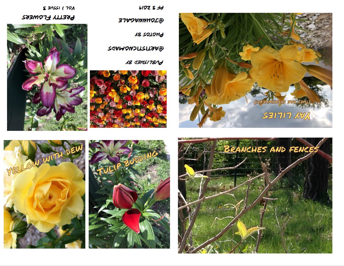 #microzine from yesterday. Trying to catch up and get on the same day. 
#internationalzinemonth2019
#microzines #zines 
#zinester #azineaday
#prettyflowers
#followmeonig