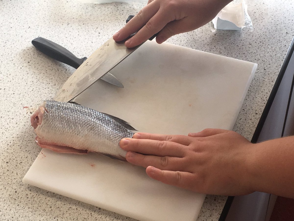 MsHesmondhalgh's tweet photo. Great afternoon with Year 9 @SewellPark cooking their own dishes in response to their very first brief. Weβve had filleting fish, pasta making and much more. Great work 9A! https://t.co/R0Ndhtsk9Q
