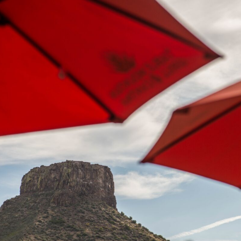 Get a break from the heat with refreshing cocktails and weekly specials at the Grill &amp; Cantina.