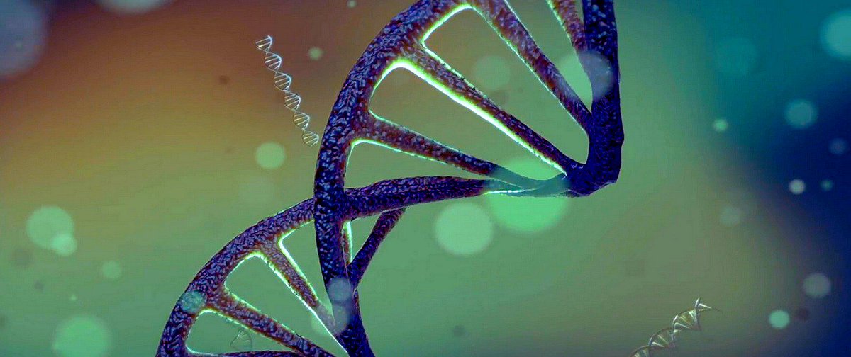 ipfconline1's tweet image. Researchers unveil the world’s first programable DNA computer prototype

buff.ly/2IVVVea  via @mgriffin_uk
#Technology
Cc @DeepLearn007 @ahier @evankirstel @psb_dc @antgrasso @jblefevre60 @SpirosMargaris @MikeQuindazzi