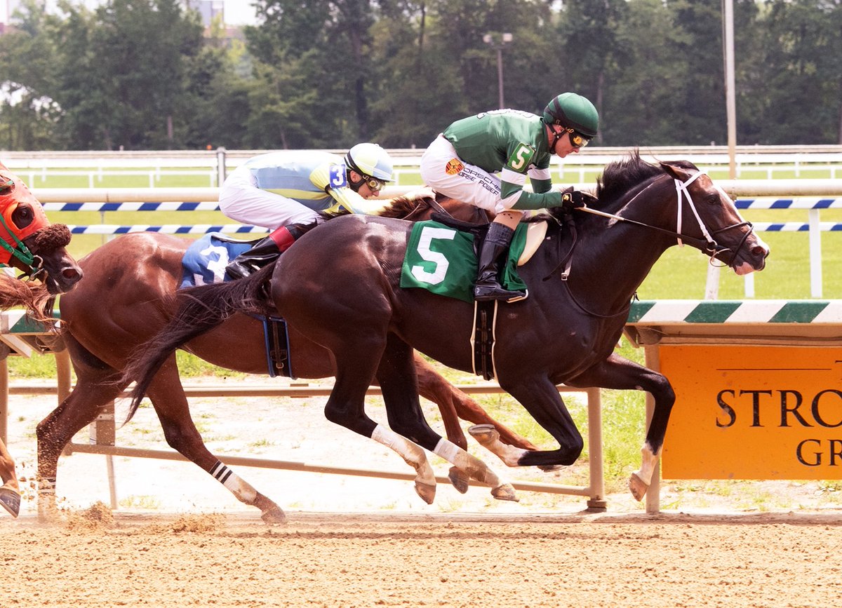 mlarue39's tweet photo. Night Code, an Honor Code 1/2 brother to grade 1winner Moonshine Memories broke his maiden on debut in race 1 @LaurelPark for trainer Steve Asmussen and owners @westpointtbred and St. Elias Stable.
Photo by Jim McCue/Maryland Jockey Club https://t.co/DnRQ1XkxXt