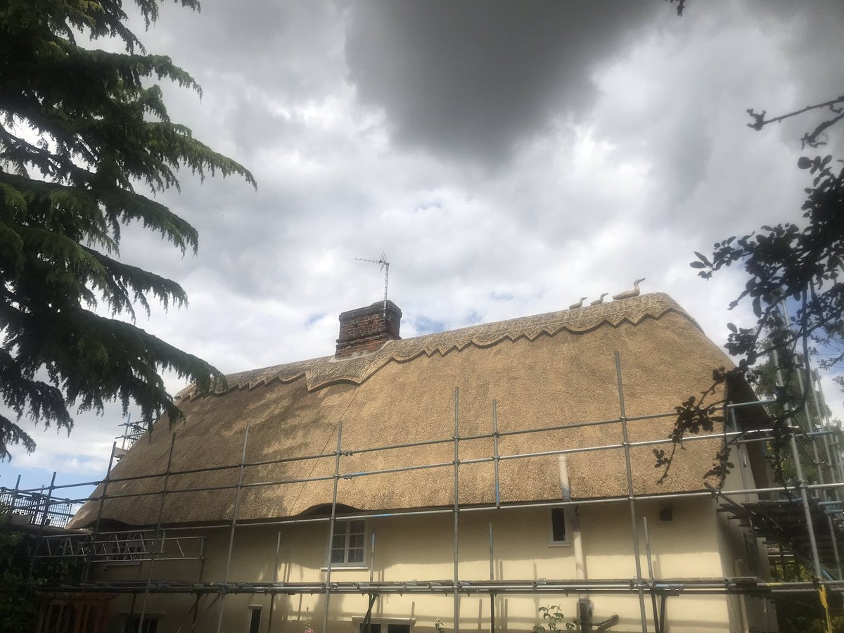 Here’s a water reed job we completed today.