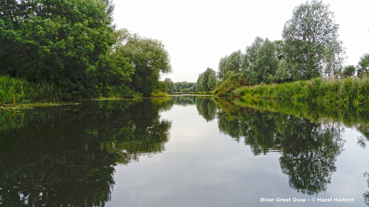 We've just launched our new appeal for donations called 'Go with the Flow' focusing on waterways. Please help us keep our rivers and streams in the best conditions for wildlife to thrive. wildlifebcn.org/flow
