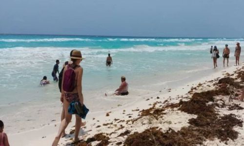 transfersusa's tweet photo. Holidays in Cancun 2019 https://t.co/GfsSx9eVKW https://t.co/gngN7UPgn0