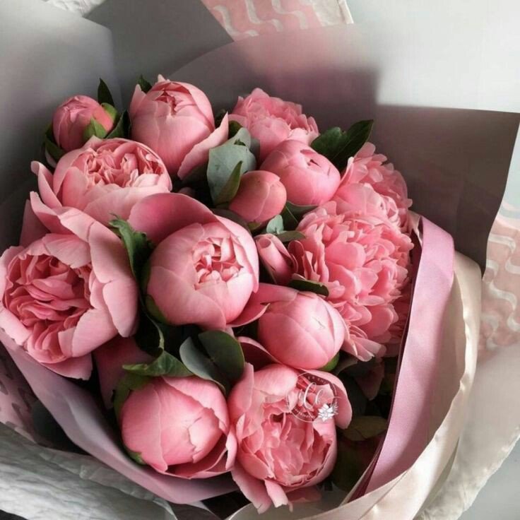 Emptysoul______'s tweet photo. ♥🌸ЦЕПОЧКА ТВИТТЕРСКИХ🌸♥
        ✨в честь 300 солнышек✨

🌍Читай меня(взаимочка)🌏
🌍Делай рт🌏
🌍Чи��ай ретвитнувших 🌏
🌍Радуйся новым читателям🌏

♥🌸~ ЛЮБИТЕ СЕБЯ~🌸♥

/оригинальная шутка про 0 рт\

~отдельное спасибо @fcap_mma

#ЦепочкаТвиттерских 
#ЦепочкаФолловеров https://t.co/5v20K6VnOS