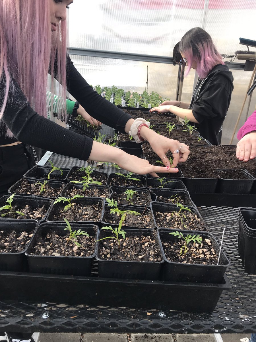 It’s official! Mountain View high school is home to the best agriculture science and technology program in the state! So proud of the staff and students! Learn more bit.ly/BLSagriculture