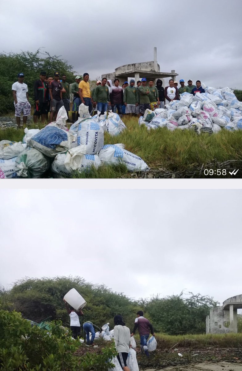 <a href="/wilsongomez1961/">Wilson Alcivar Gómez</a> @MAEElOro @MAEMarinaEc @Marcelo_MataG <a href="/MikeCastanedaB/">Sohar</a> <a href="/grdarwin/">Darwin Gonzalez R.</a> <a href="/GoberElOro/">Gobernación de El Oro</a> <a href="/PrefecturaElOro/">Prefectura El Oro</a> @MachalaMovil @diariocorreoweb <a href="/diario_ecologia/">Diario Ecologia</a> @ONUMedioAmb <a href="/elorodigital/">El Oro Digital</a> <a href="/AprocamJK/">Aprocam JK</a> <a href="/Copehual/">Cooperativa Hualtaco</a> <a href="/coopsurpacifico/">Cooperativa SPH</a> <a href="/ASOCAM2/">ASOCAM</a> @Ambiente_Ec <a href="/DanielPesantes9/">Daniel Pesantes</a> <a href="/Mercy2ACastro/">Angélica Castro</a> 👍🏻apoyando año a año los Gremios d Hualtaco con botes d sus asociados,organizados a comunidades,<a href="/Camaroneros_Oro/">cpceo</a> apoyo a Huacas sacos y gasolina,muchos ven l final,pero botes d todos van casi 1semana recolectando y si hay aporte🦐👏🦐.<a href="/Mercy2ACastro/">Angélica Castro</a> @MachalaMovil <a href="/IvanOntanedaB/">Iván Ontaneda Berrú</a>