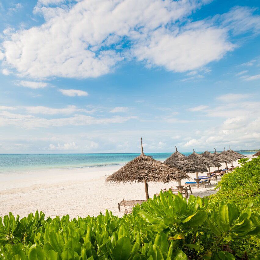 meet_the_globe's tweet photo. 🇬🇧#Relaxing #holidays with @meet_the_globe
🇩🇪#Entspannen mit #MEETTHEGLOBE
🇪🇸#Vacaciones #relajadas con nosotros
#zanzibar #sansibar #visitzanzibar #beachtime #beachresort #beachvacation #sandstrand #dreambeach #beachvibes #beach #beachlife #worldwanderer #strandurlaub #vacation https://t.co/dFzrEaaaEf